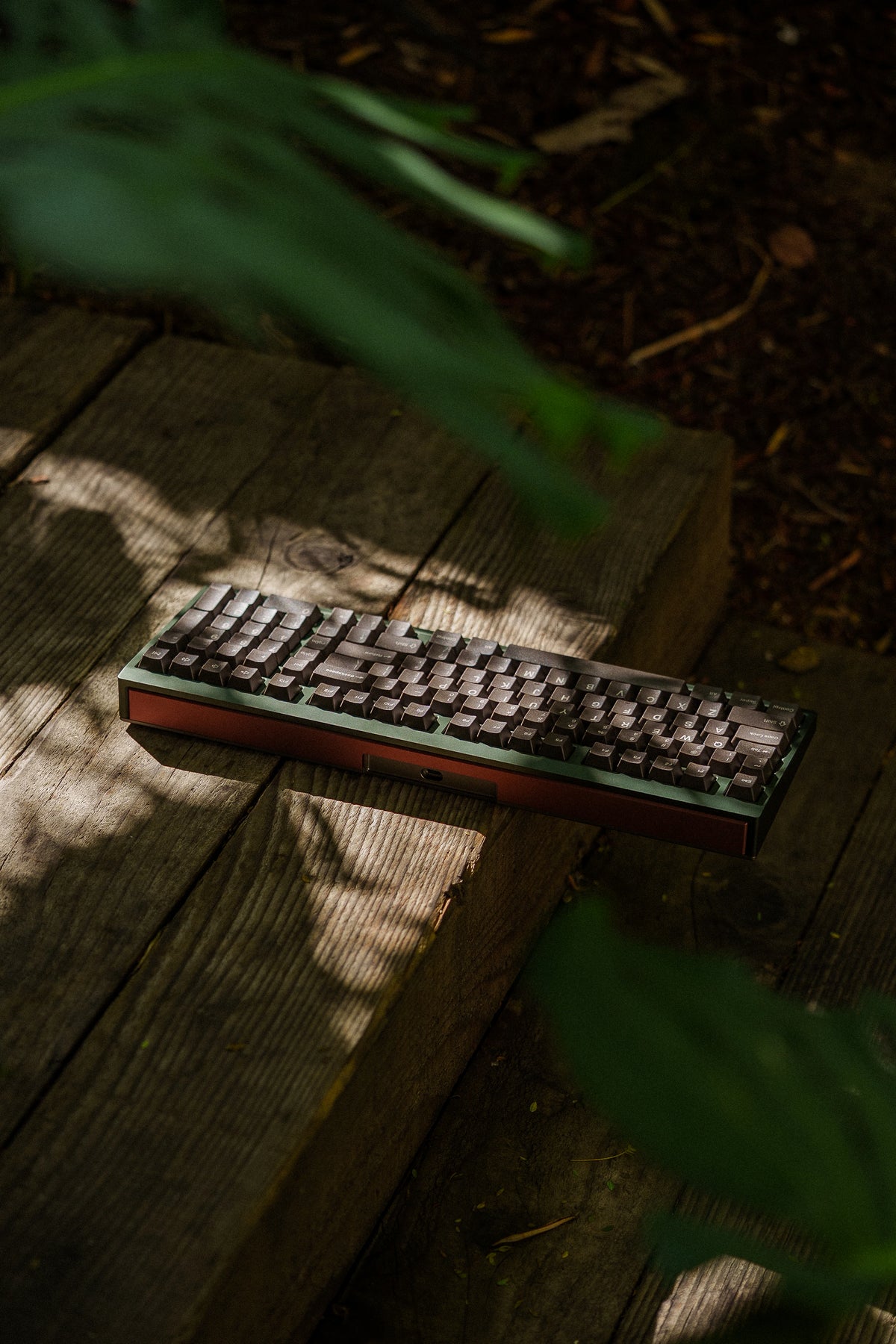 Mode Prologue in Mushroom Forest on weathered wooden steps among ferns